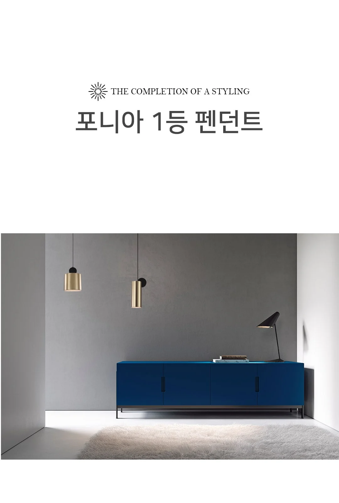 포니 A형, B형 P/D 제조사 상세 정보