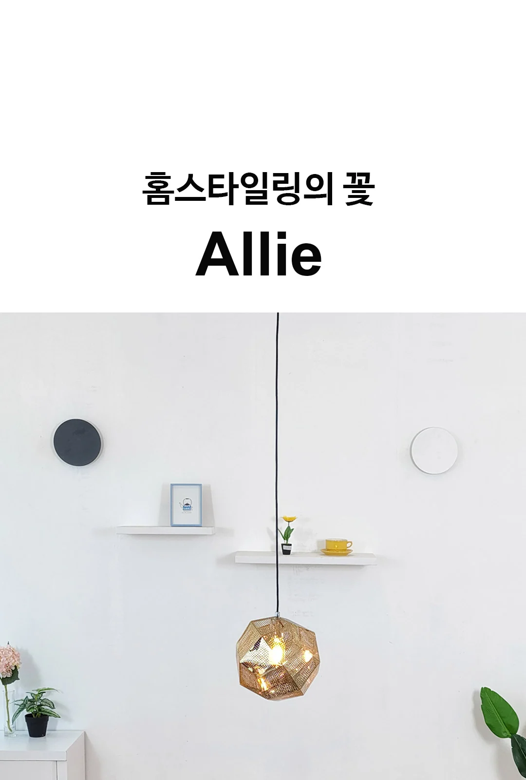 개미집 스텐 1등 P/D 제조사 상세 정보