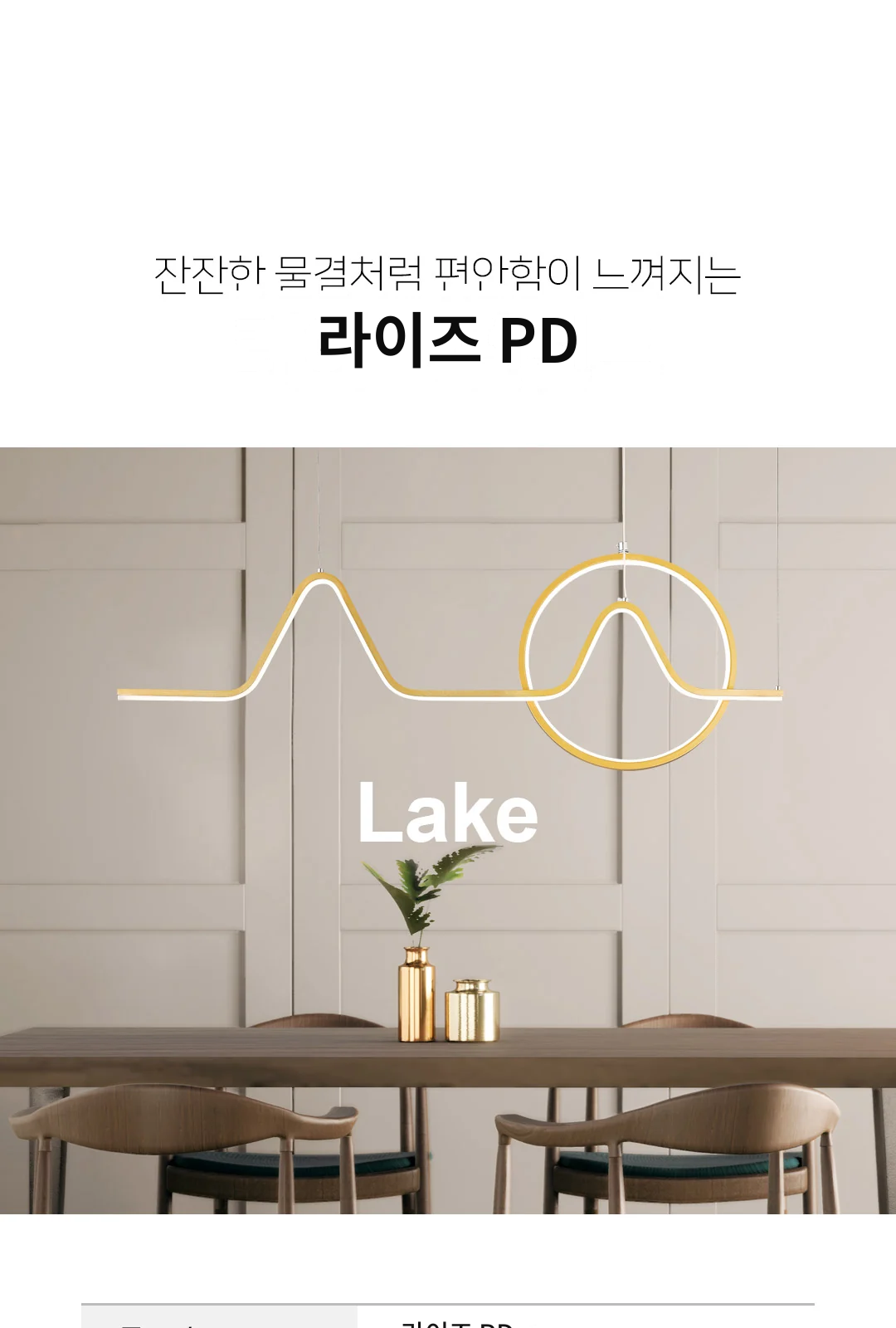 라이즈 PD 제조사 상세 정보
