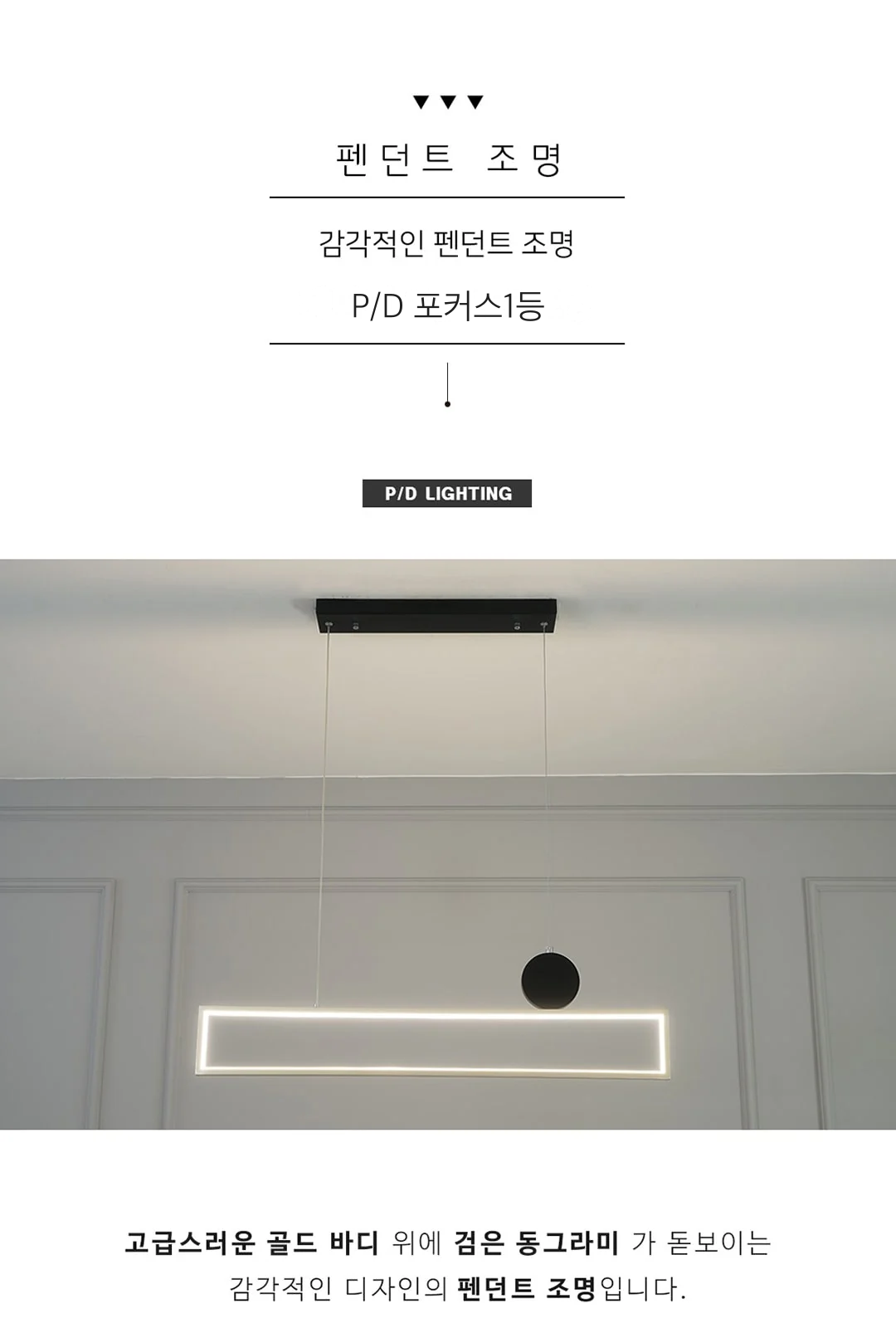 P/D 포커스1등 제조사 상세 정보