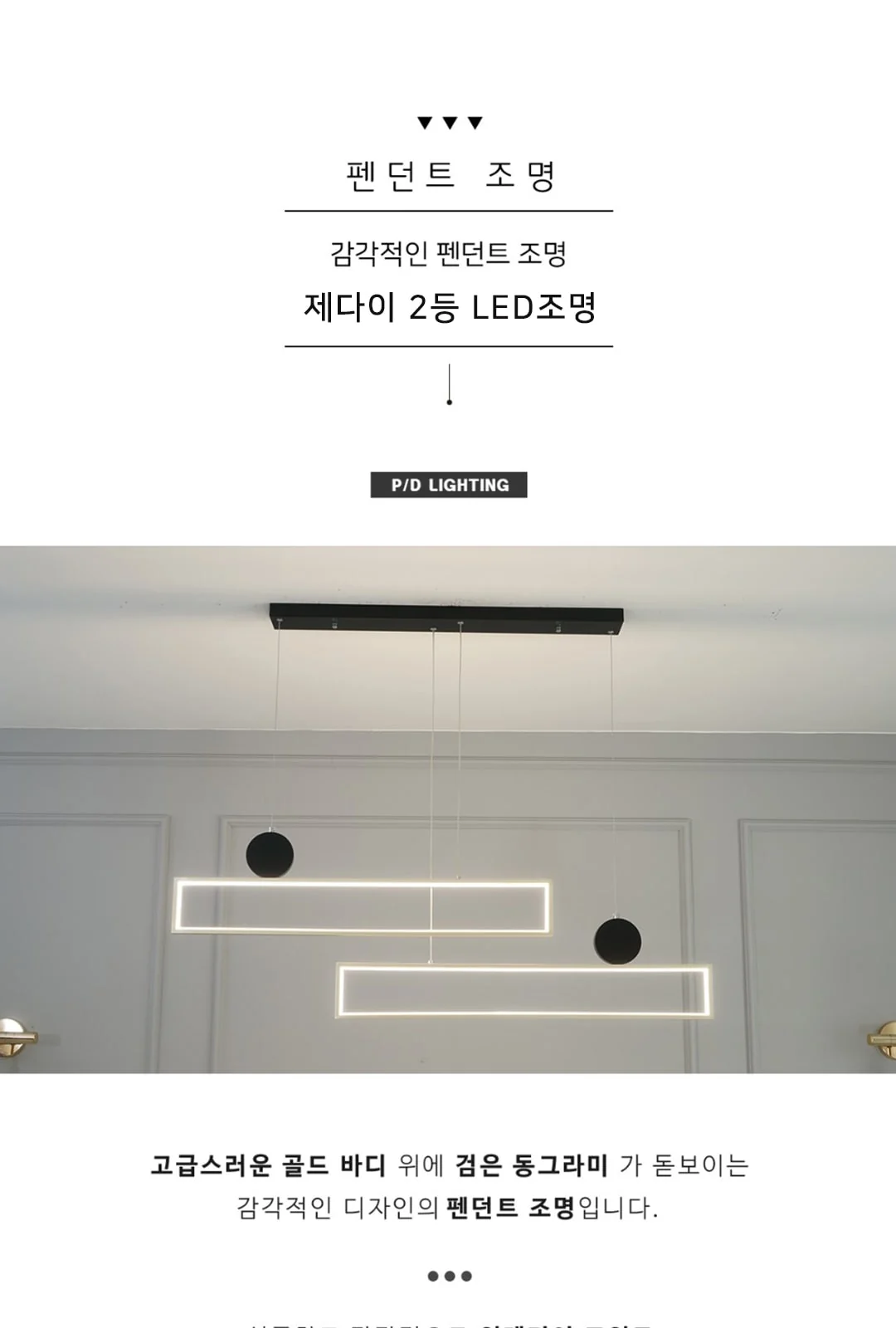 P/D 포커스2등 제조사 상세 정보