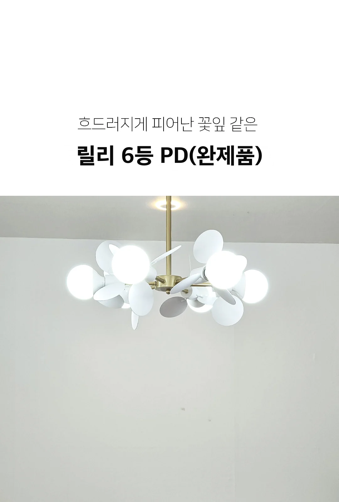 릴리 6등 PD(완제품) 제조사 상세 정보
