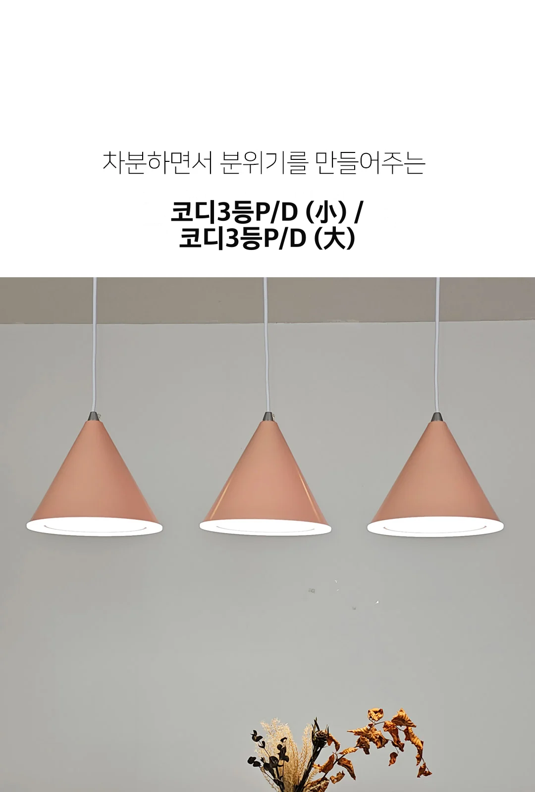 코디3등P/D (小) / 코디3등P/D (大) 제조사 상세 정보