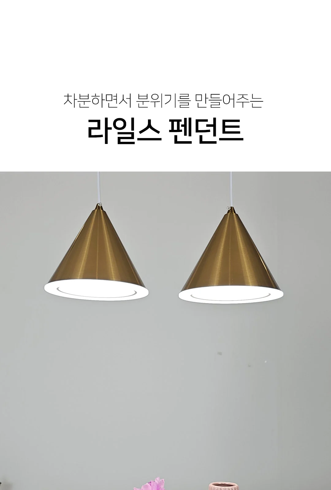 코디2등P/D (小) / 코디2등P/D (大) 제조사 상세 정보