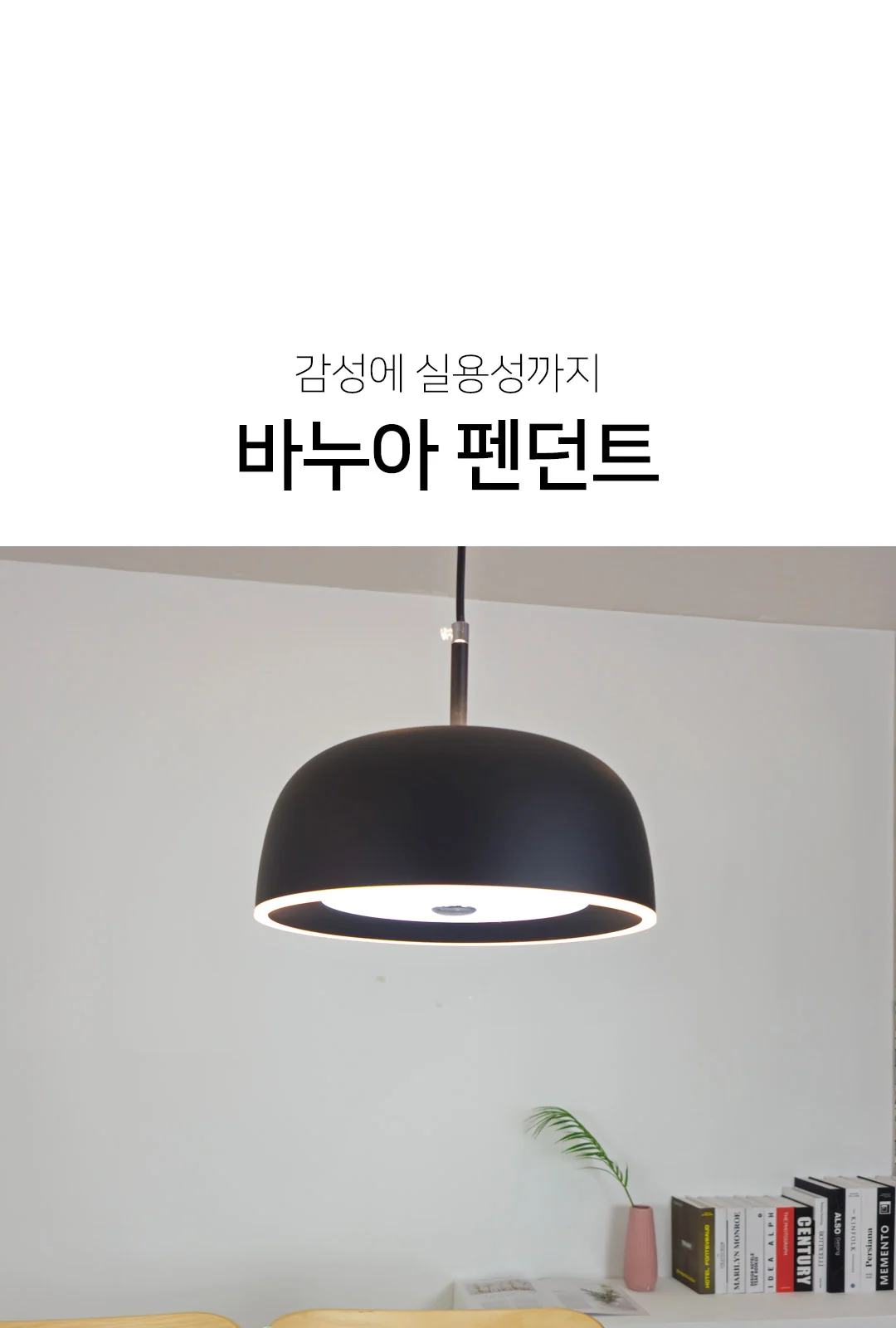 비너스 1등/2등 P/D 제조사 상세 정보
