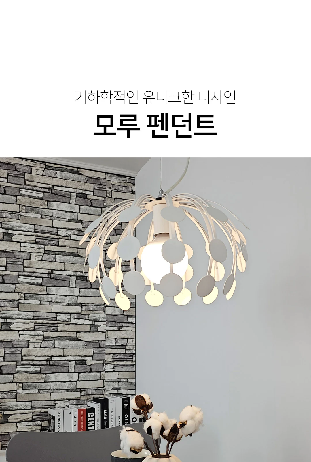 일등 거미 백색 제조사 상세 정보