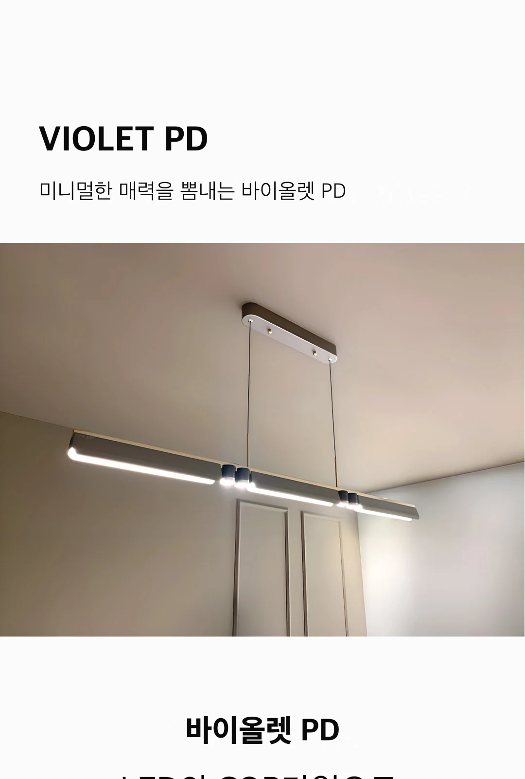 바이올렛 PD 제조사 상세 정보
