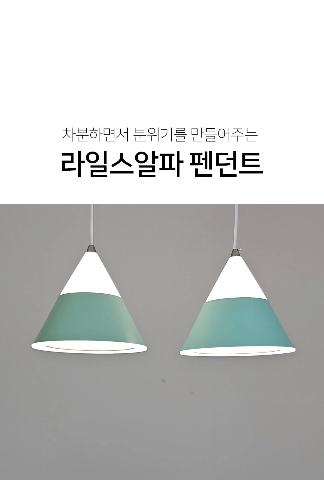 코디알파2등P/D (小) / 코디알파2등P/D (大) 제조사 상세 정보