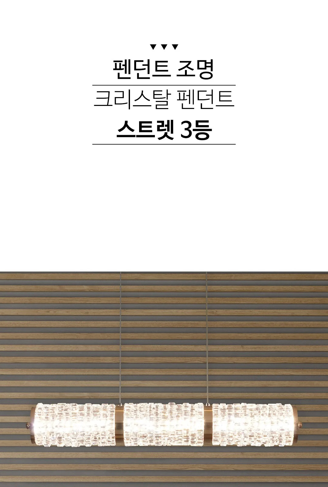 카델라 3등 P/D 제조사 상세 정보