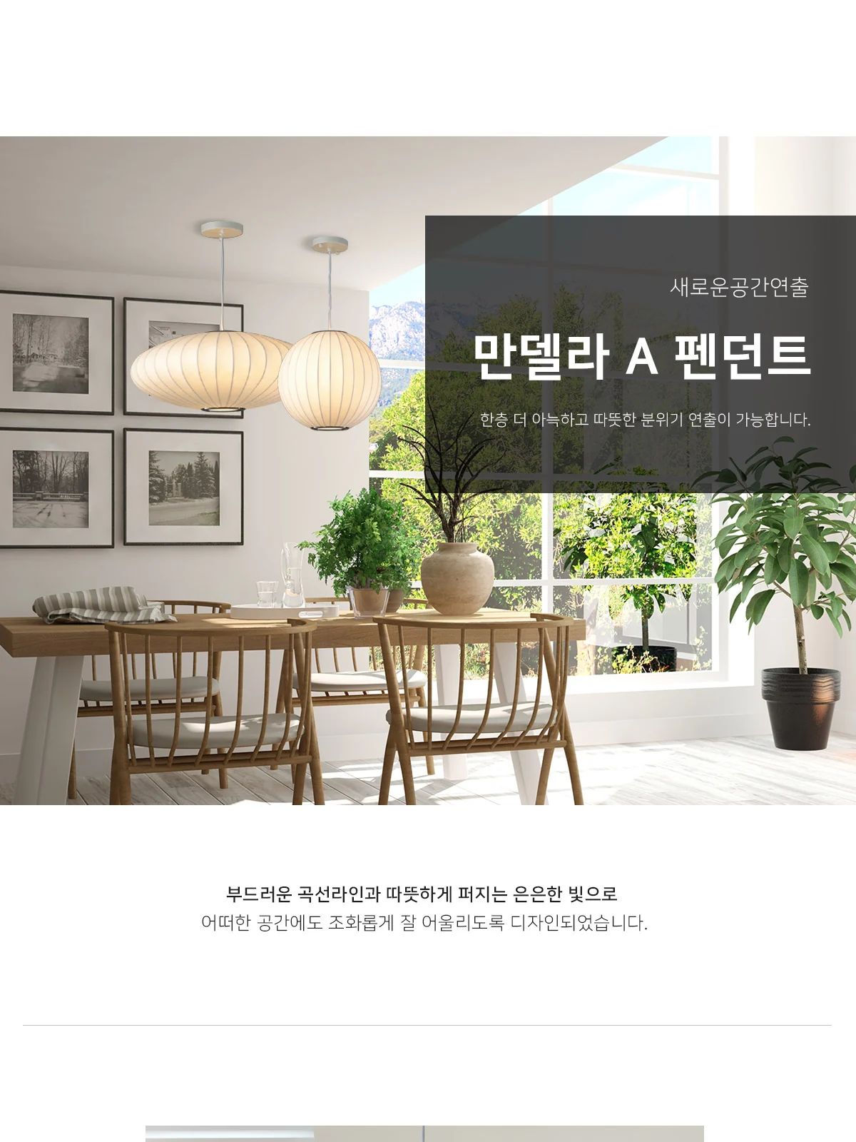 만델라 1등 P/D(A타입) 제조사 상세 정보