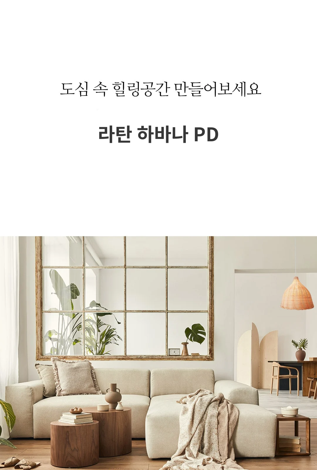 라탄 하바나 PD 제조사 상세 정보