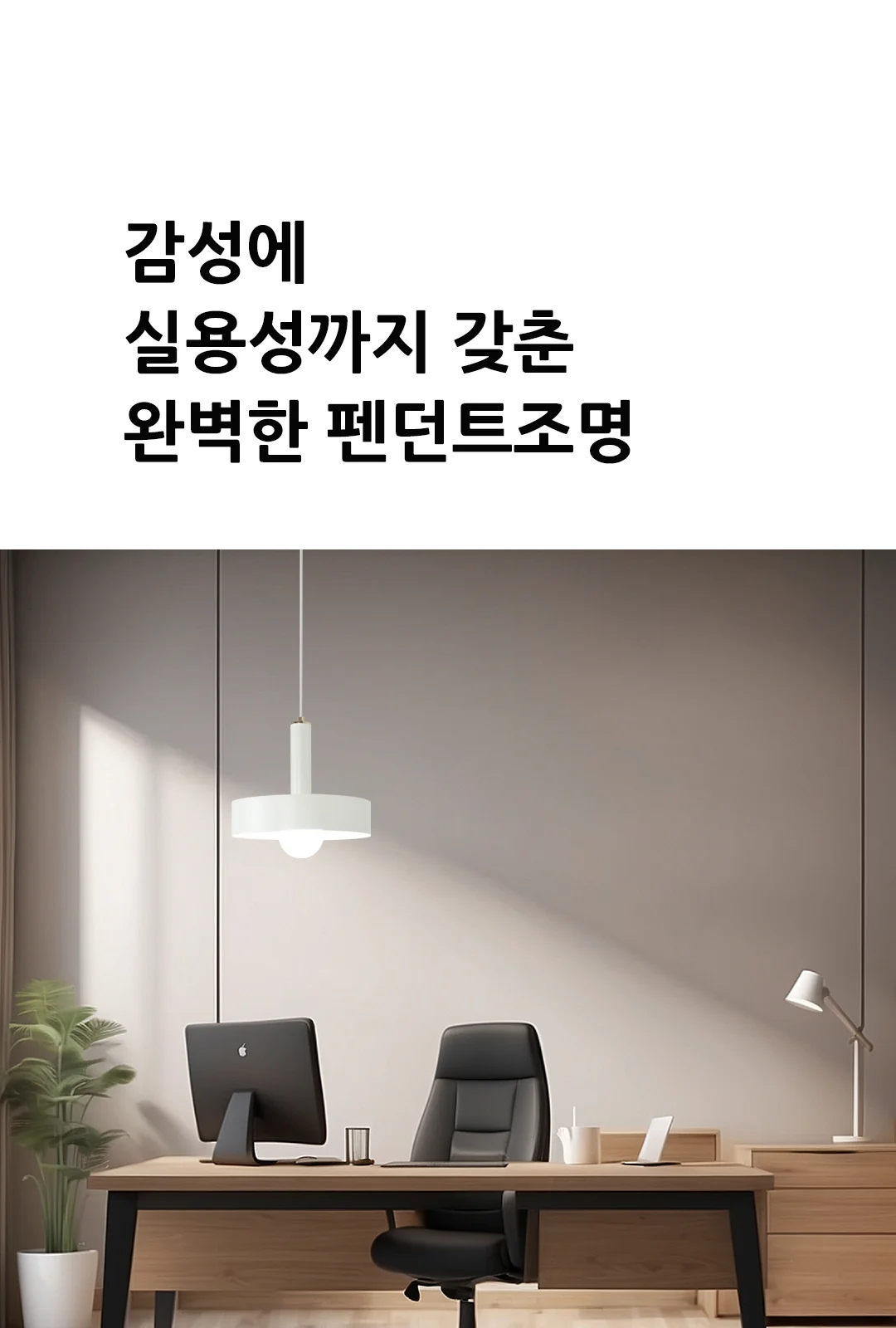 로이든 1등 제조사 상세 정보
