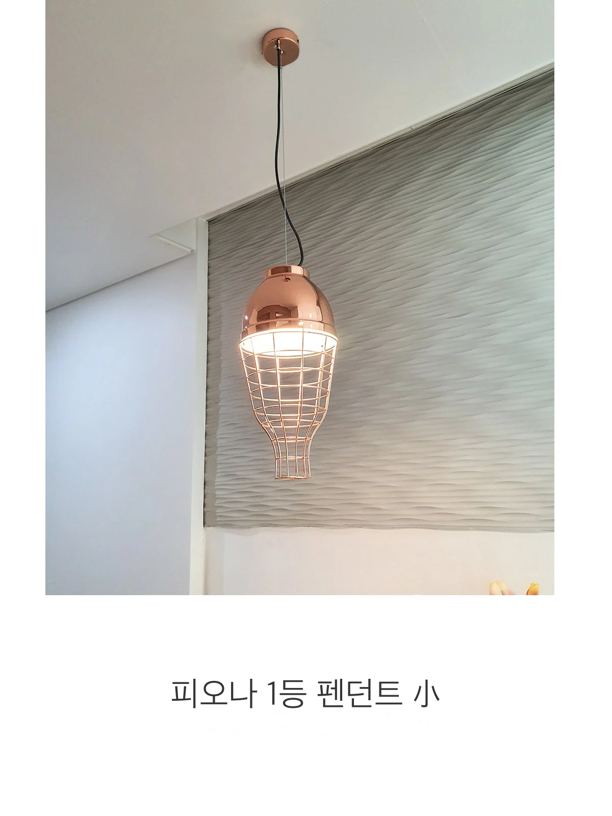 피오나 1등 펜던트 小 제조사 상세 정보