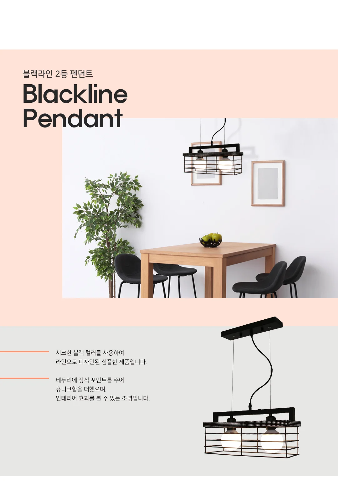 라온 2등 제조사 상세 정보