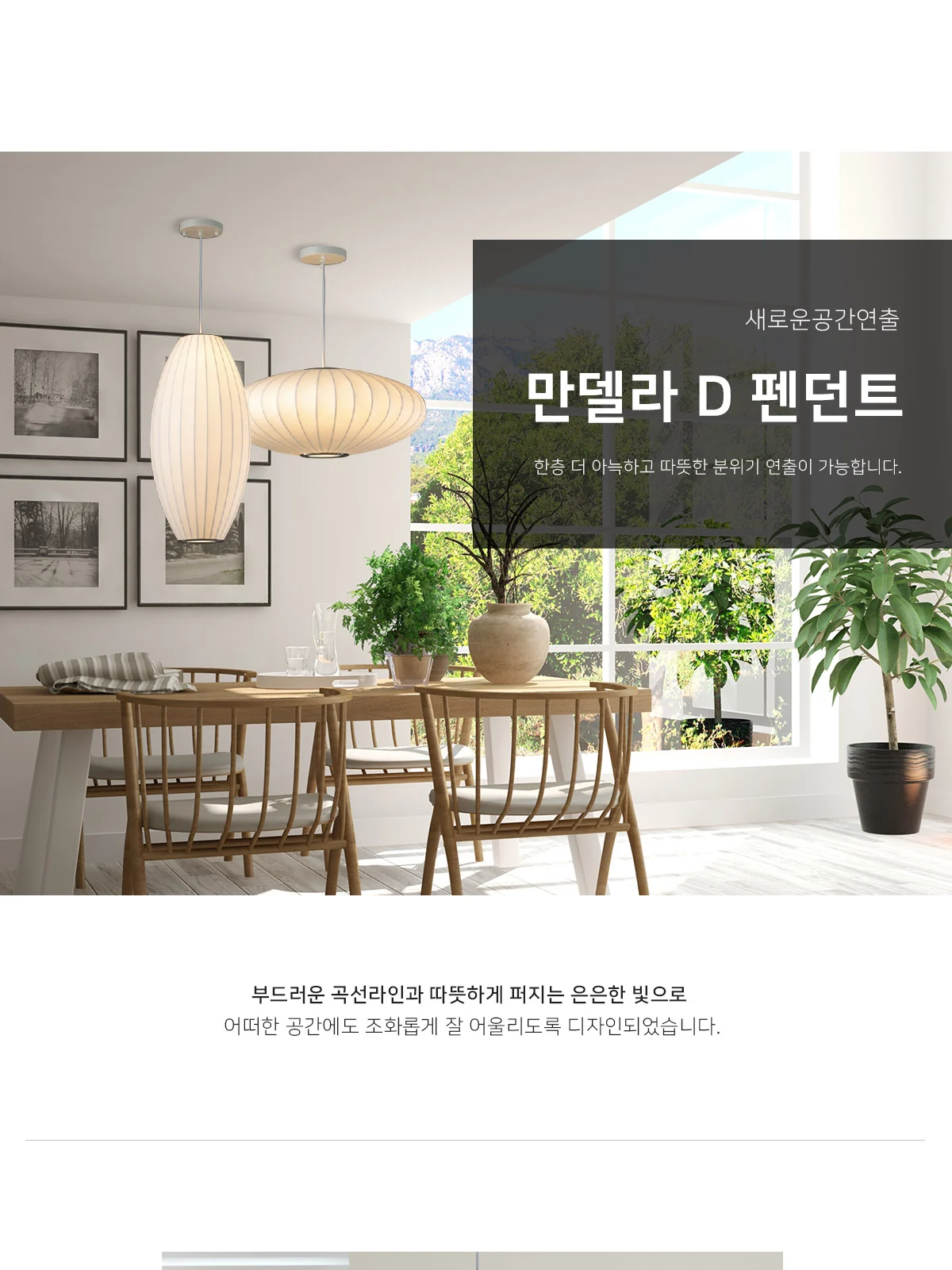 만델라 1등 P/D (D타입) 제조사 상세 정보