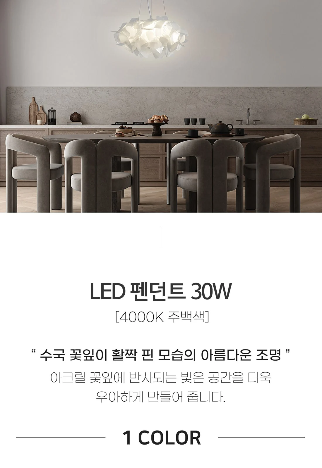 LED 피날레 P/D 30W [4000K] 제조사 상세 정보