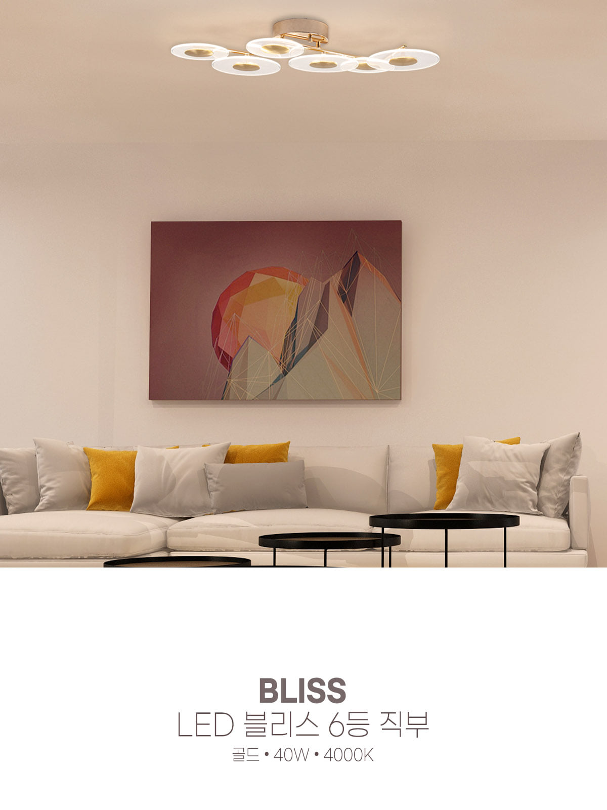 [CK-0253] LED 블리스 6등 직부 40W 플리커로우 제조사 상세 정보