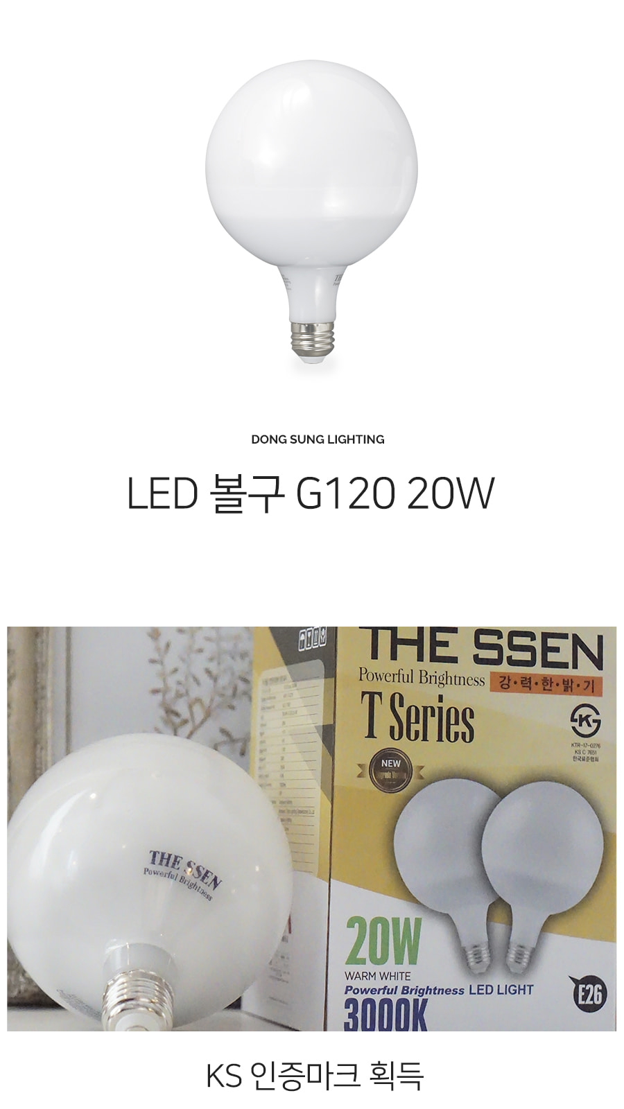 [TP-201] LED 볼구 G120 20W 제조사 상세 정보