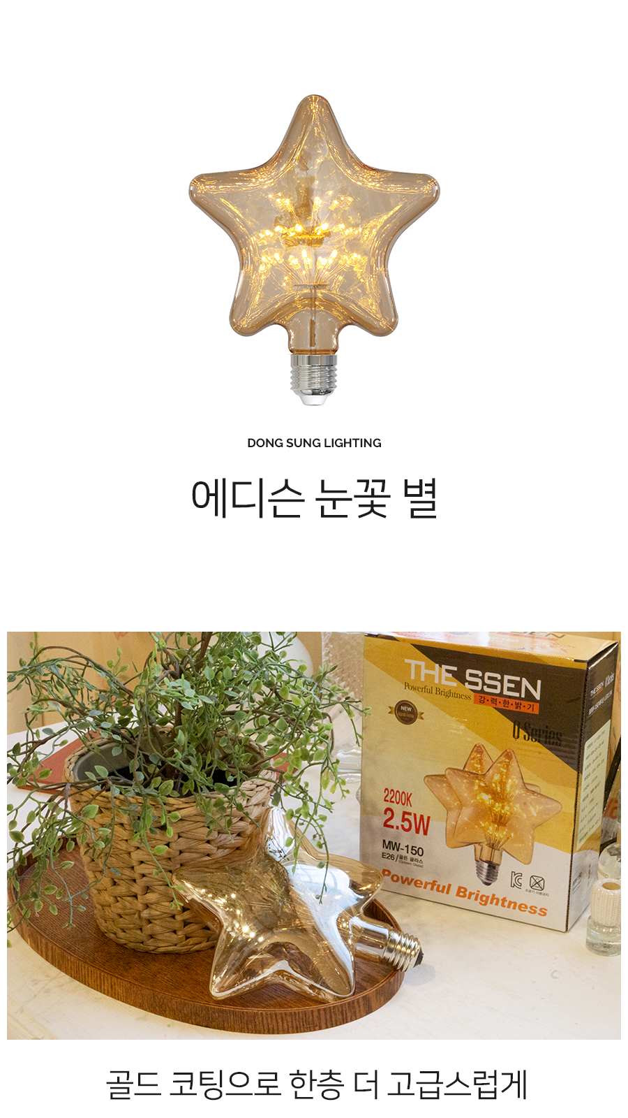 [CK-067] LED 에디슨 전구 눈꽃 별 2.5W 제조사 상세 정보