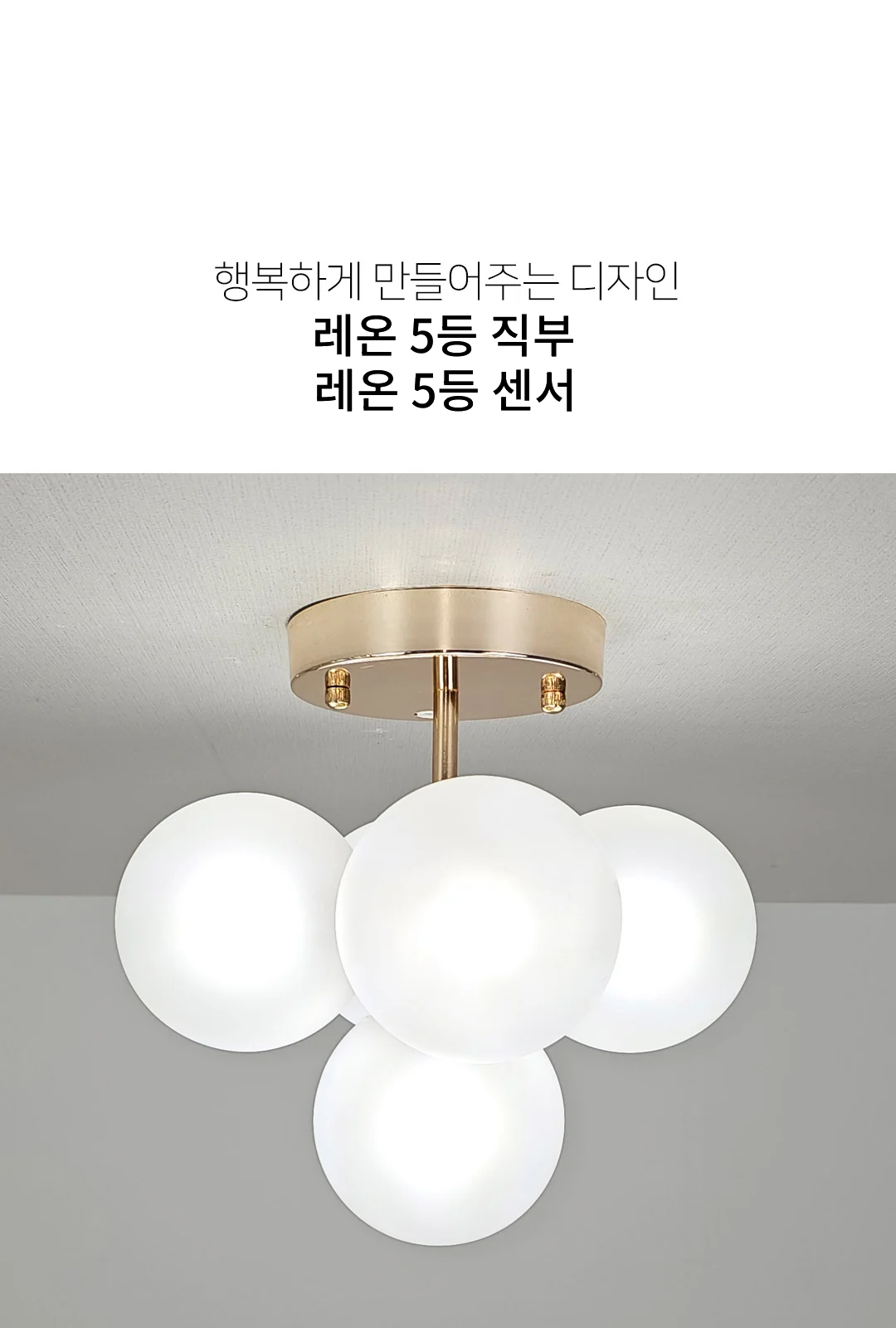 레온 5등 직부 / 레온 5등 센서 제조사 상세 정보