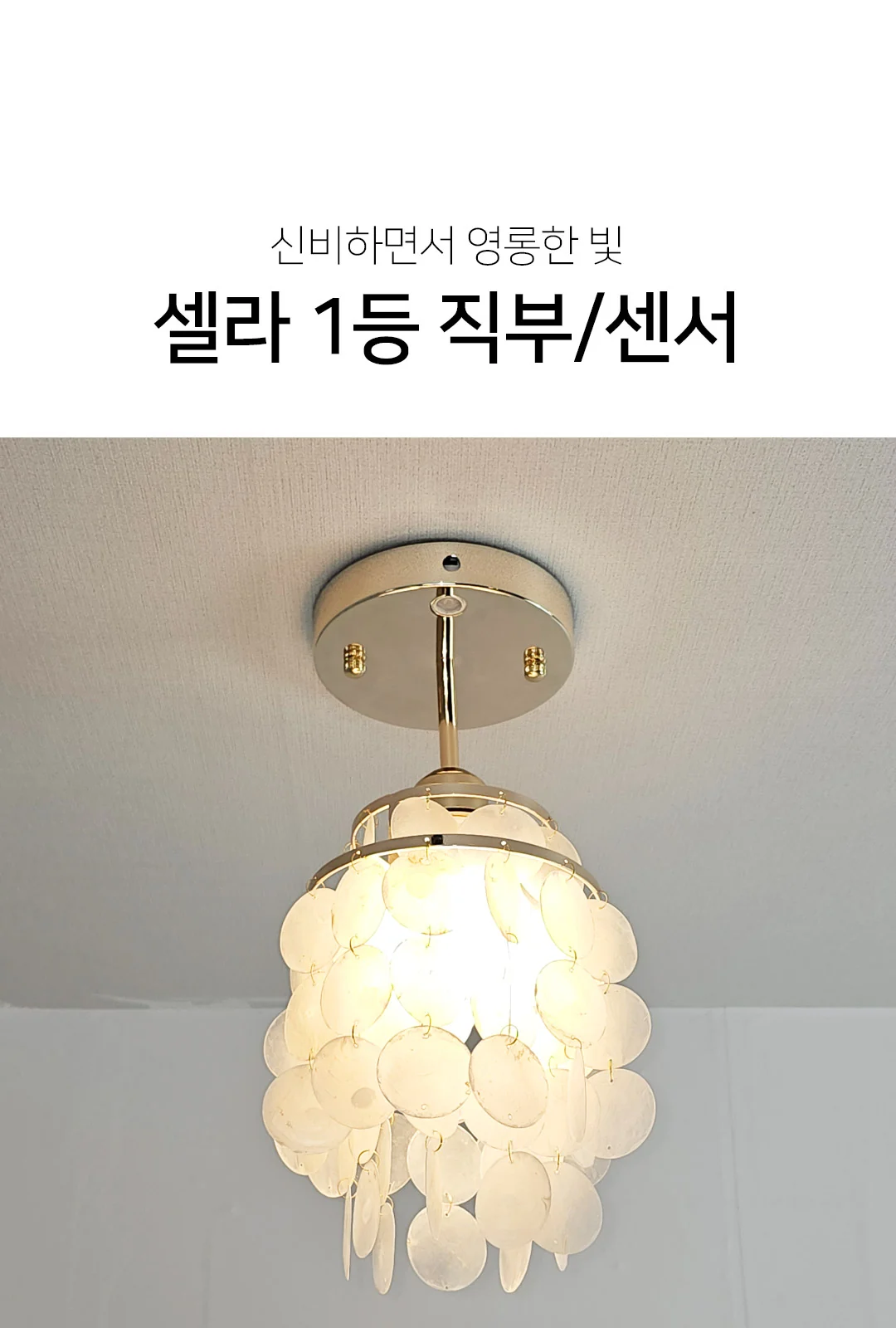 자개직부등 제조사 상세 정보