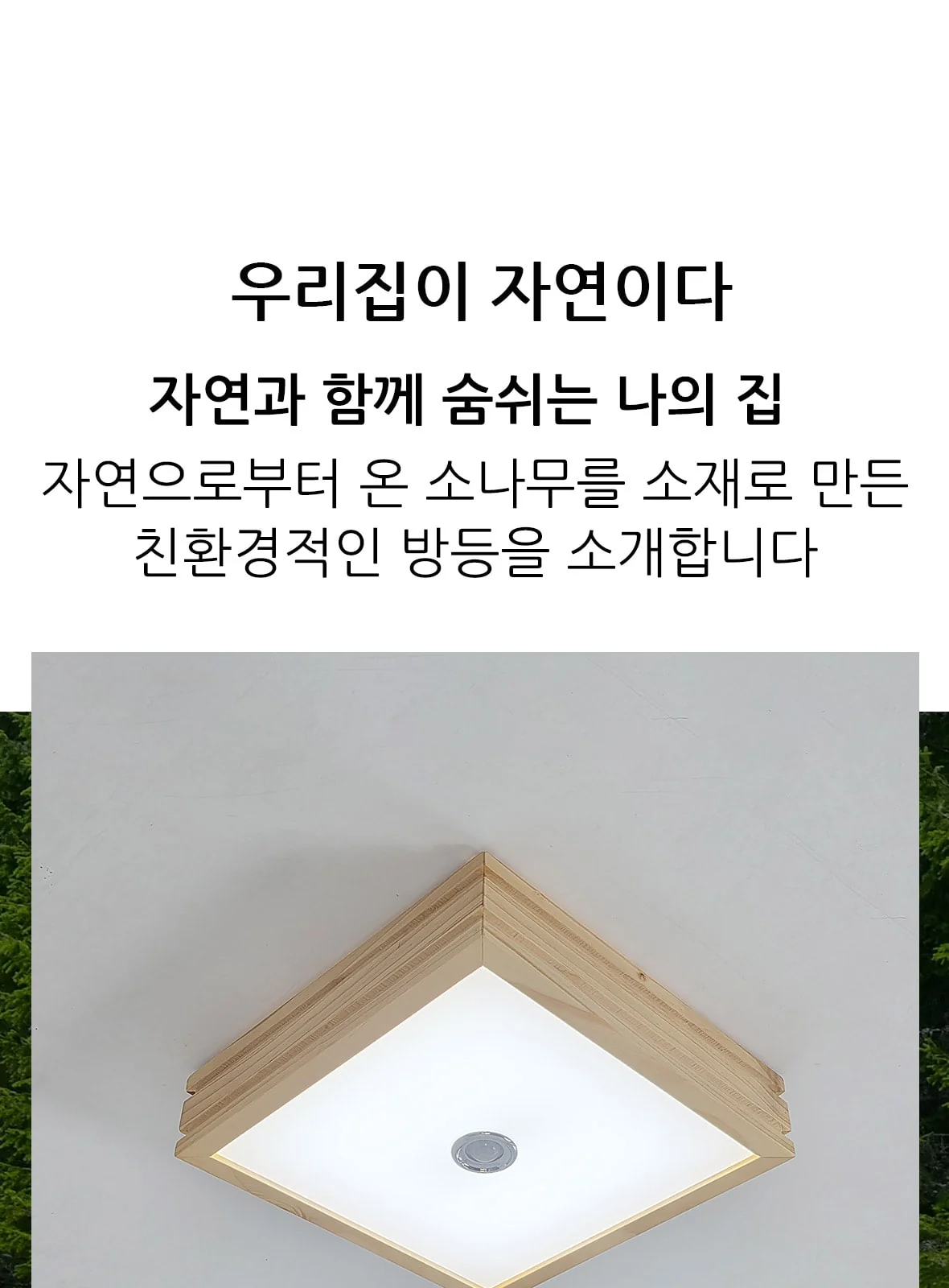 투라인 원목 직부등 센서등 제조사 상세 정보