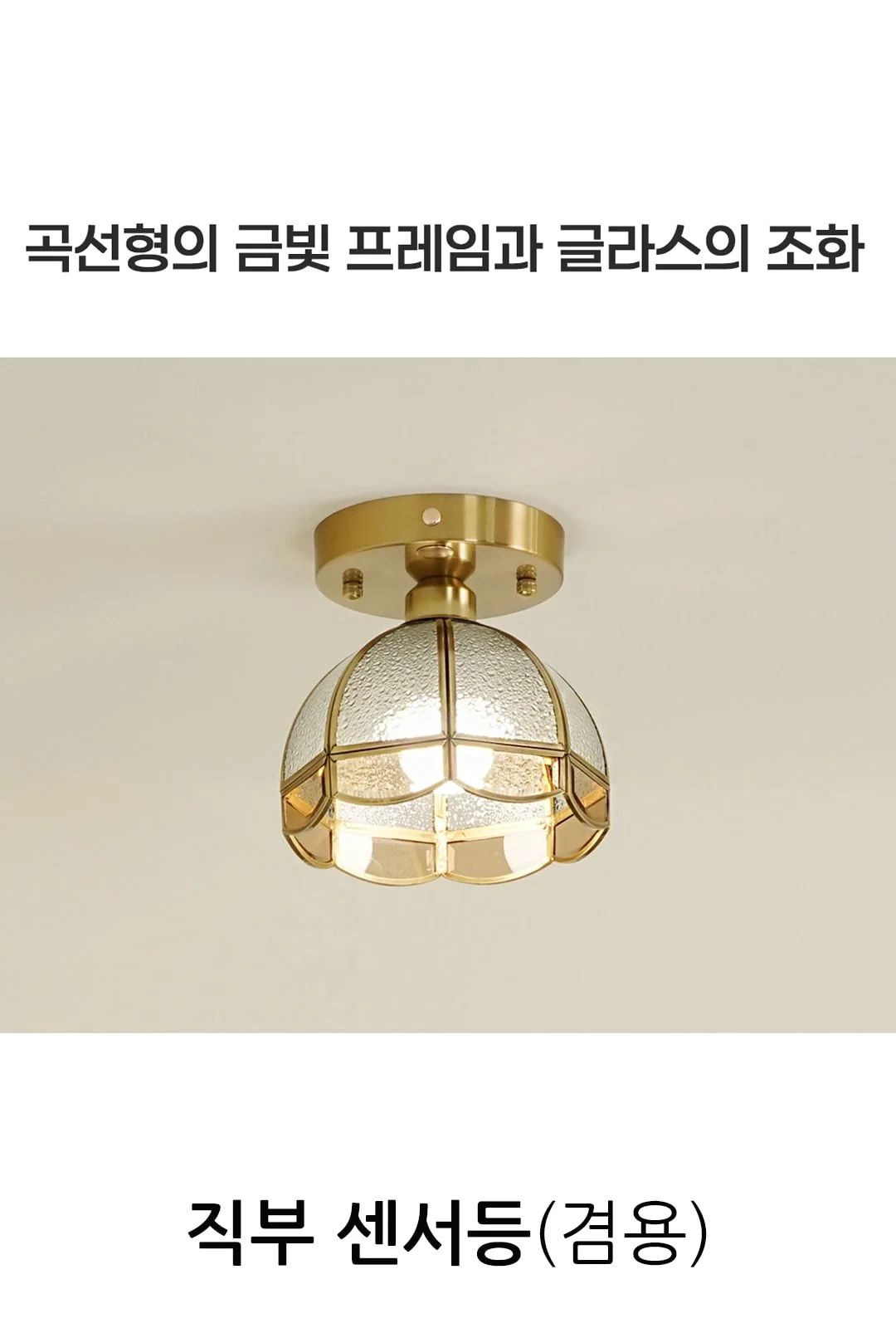 테일러 1등(직부/센서겸용) 제조사 상세 정보