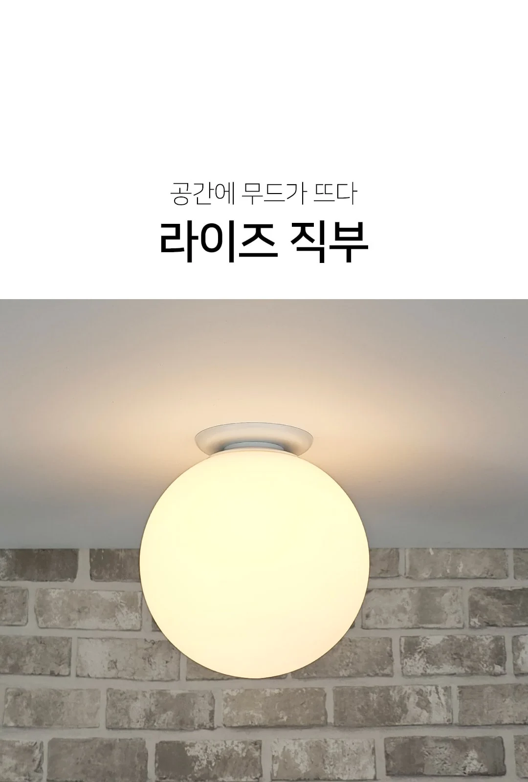 스노우 150 / 200 / 250 / 300 직부 제조사 상세 정보