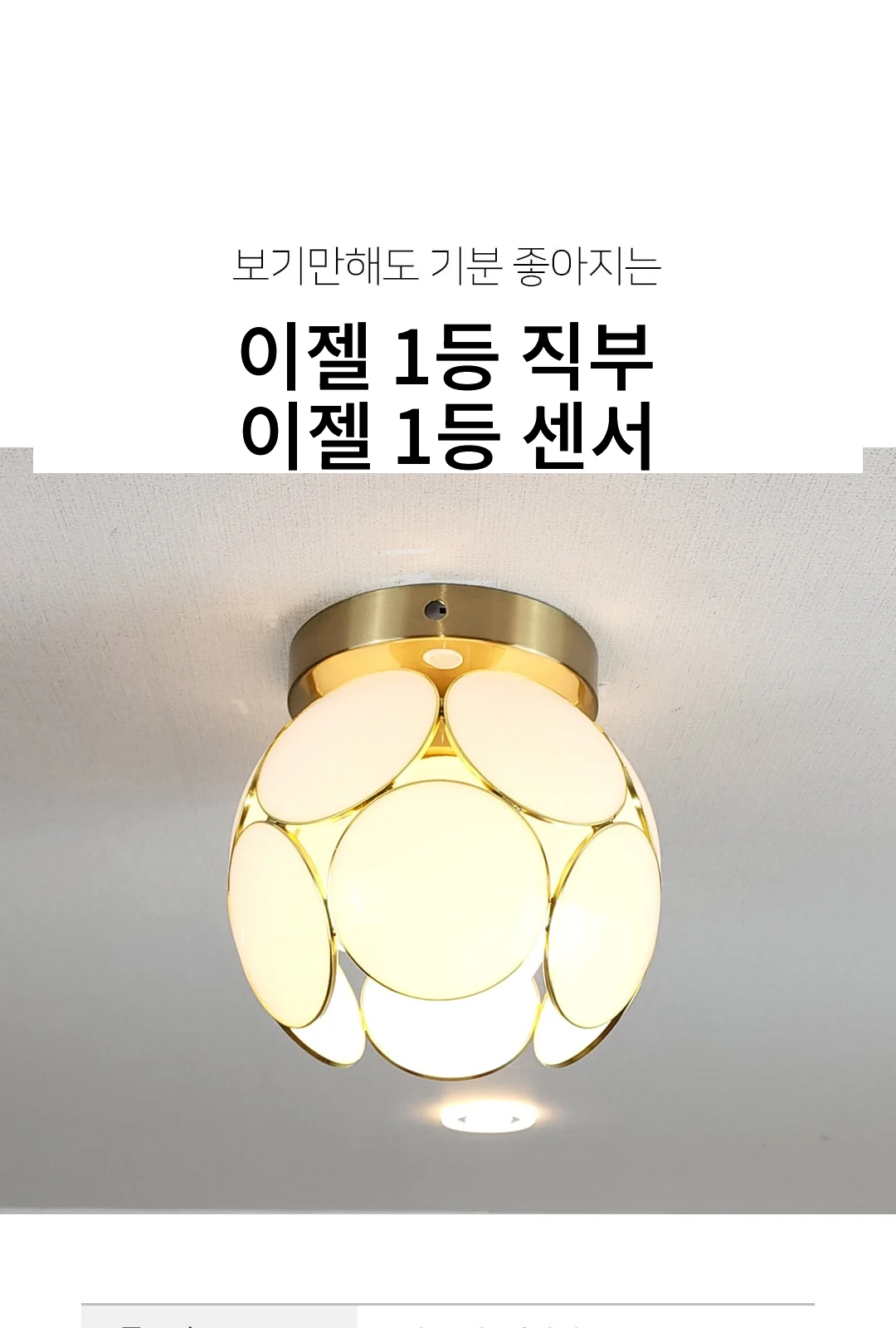 이젤 1등 직부 / 이젤 1등 센서 - 투명 단종 제조사 상세 정보