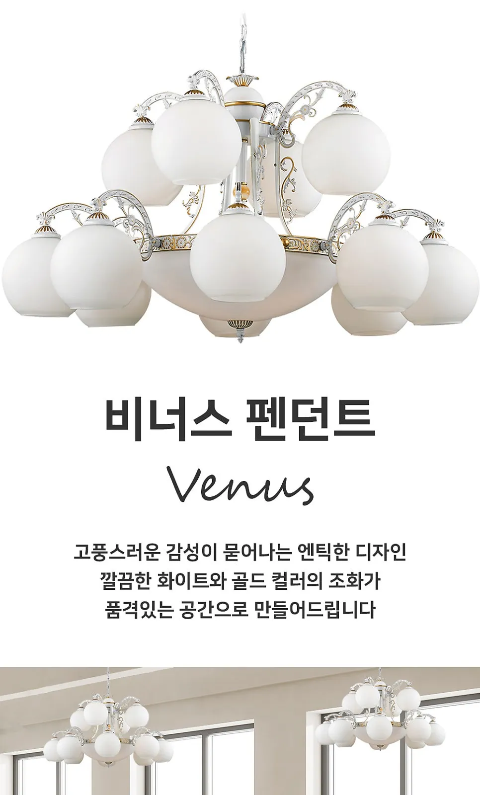 비너스 P/D 제조사 상세 정보