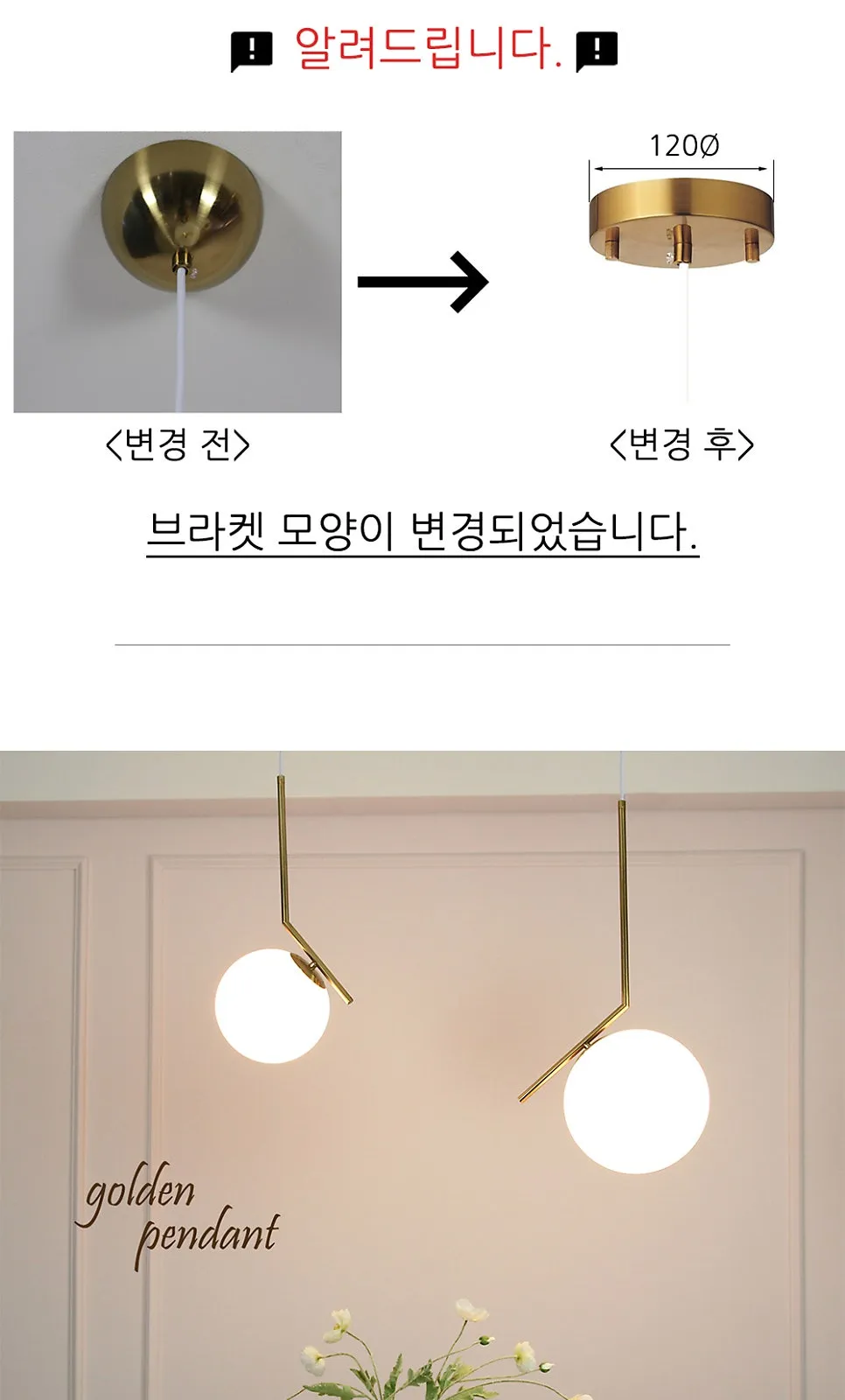 골든 1등 P/D 제조사 상세 정보