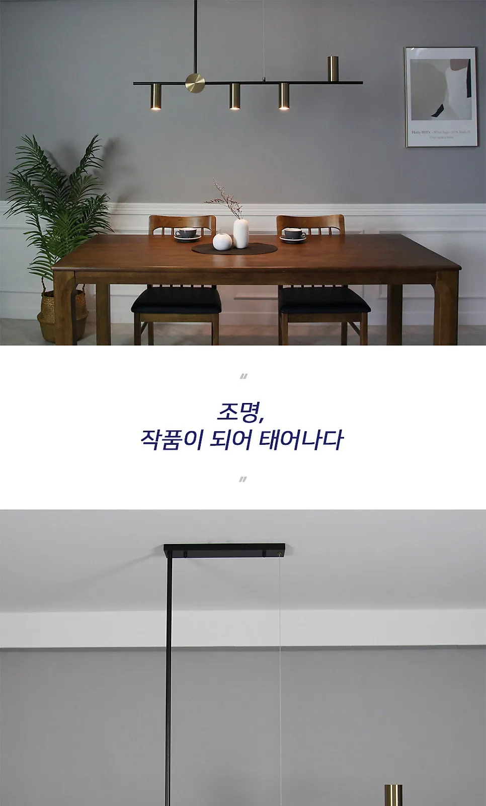 미키 4등 PD 제조사 상세 정보