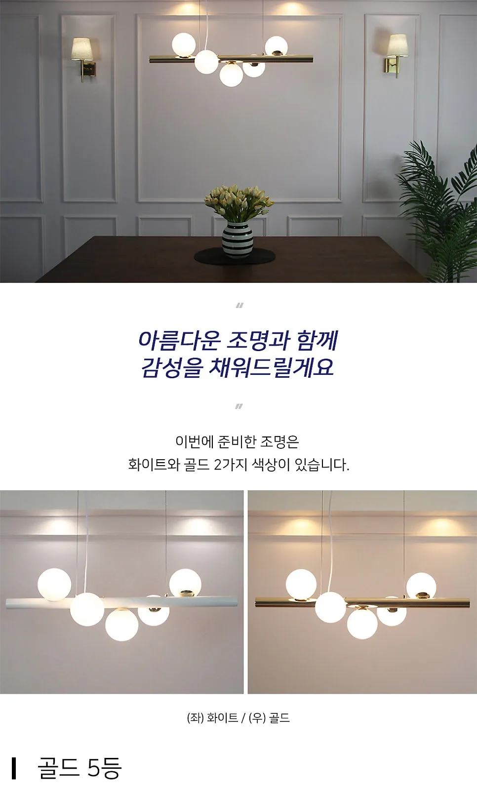 빙글 5등 PD (백색,골드) 제조사 상세 정보