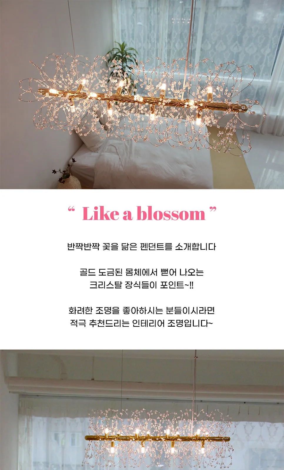 눈꽃 일자 12등 P/D (골드) 제조사 상세 정보