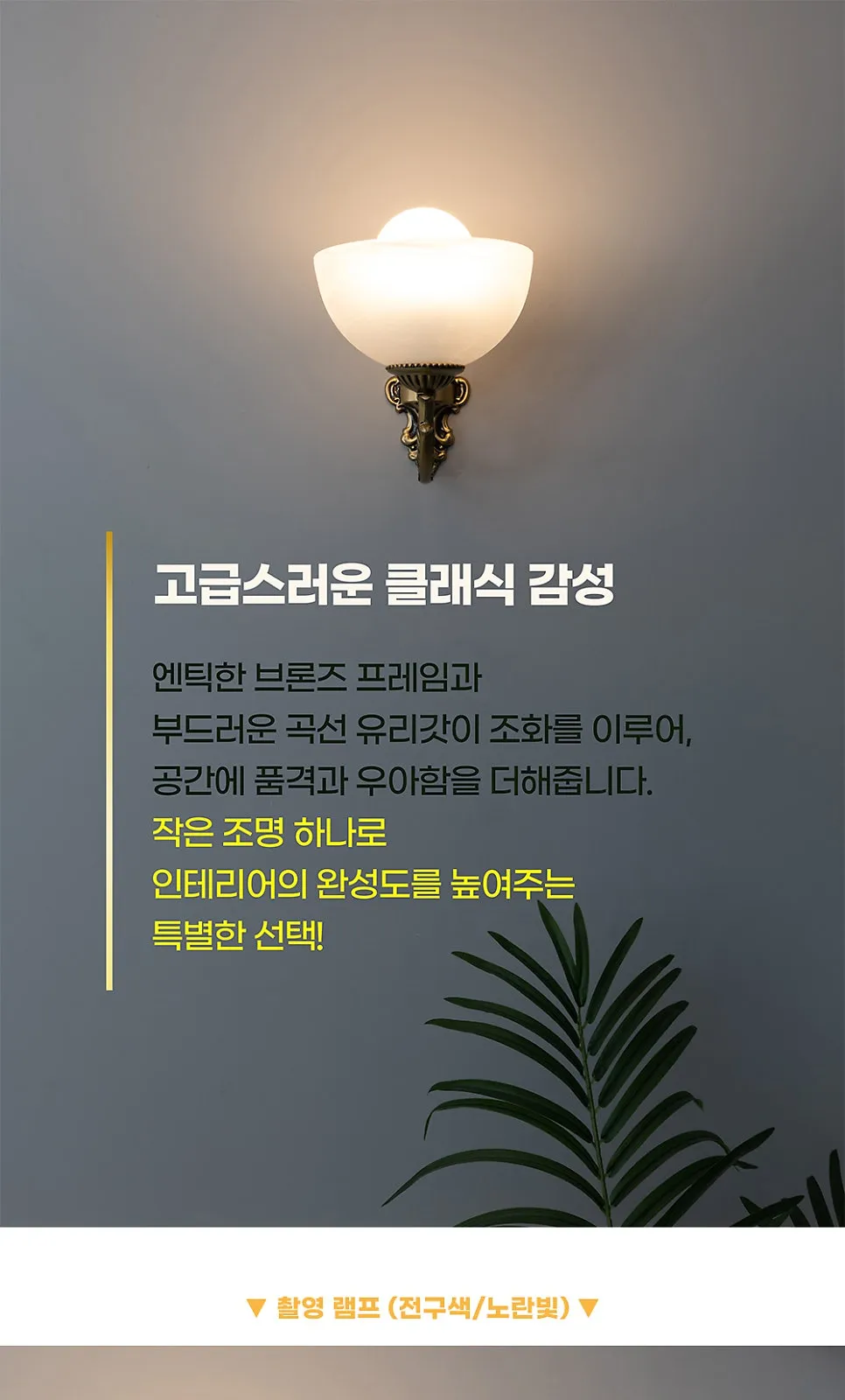 바티칸 1등 B/R 제조사 상세 정보