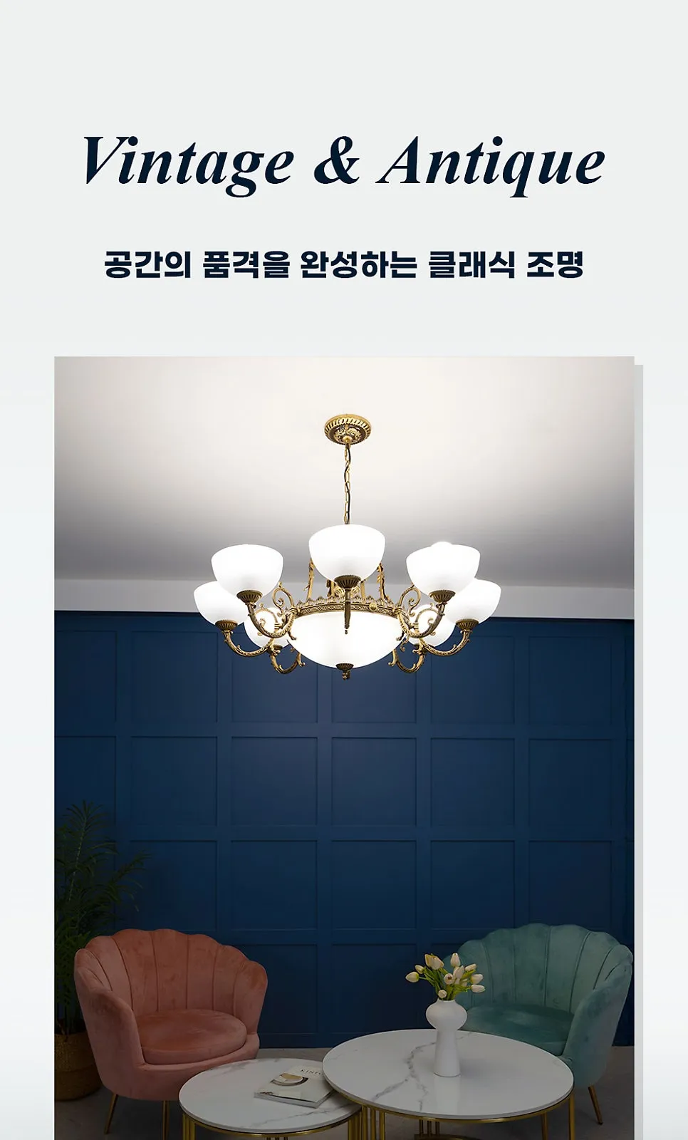 바티칸 11등 P/D 제조사 상세 정보