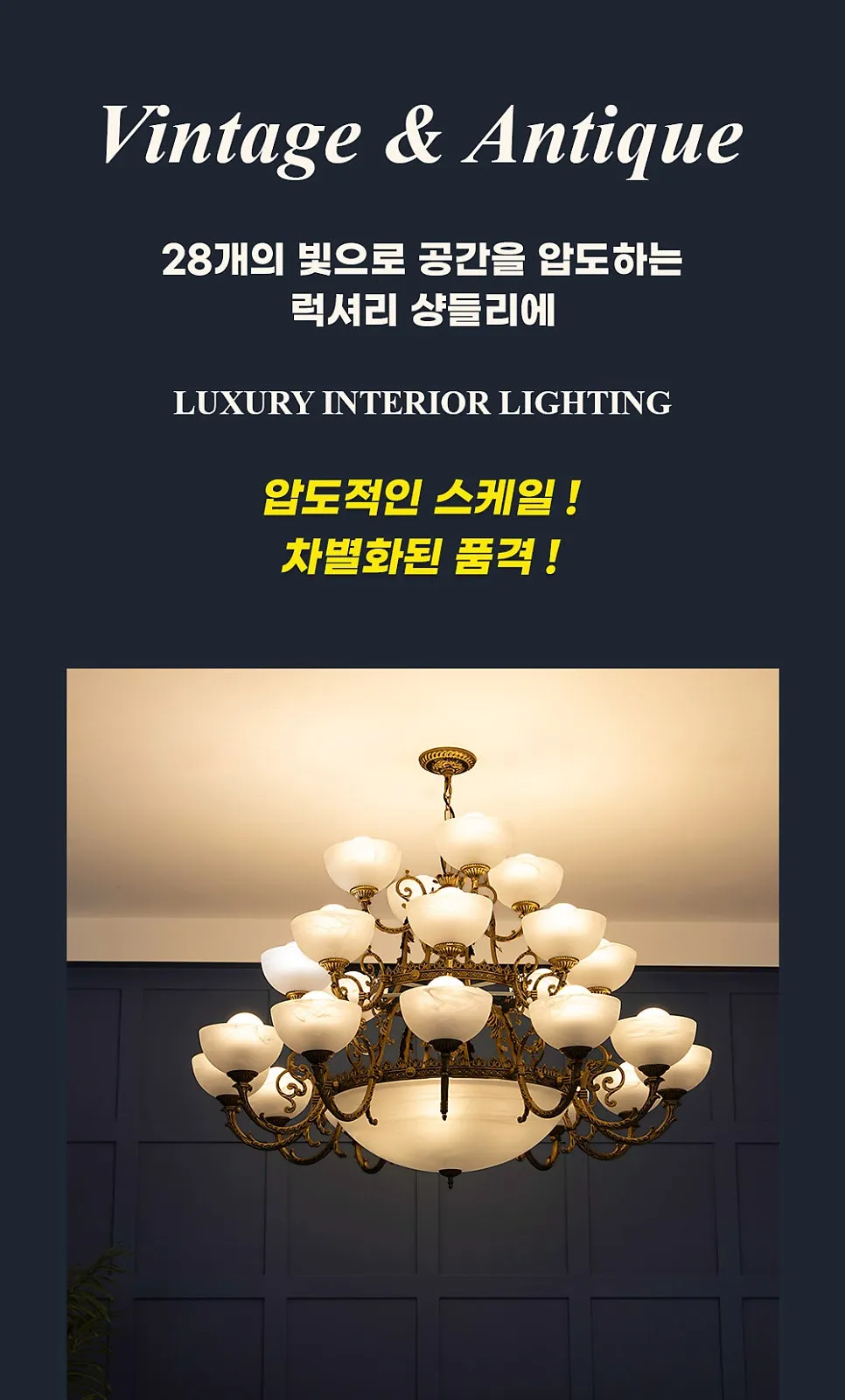 바티칸 28등 P/D 제조사 상세 정보