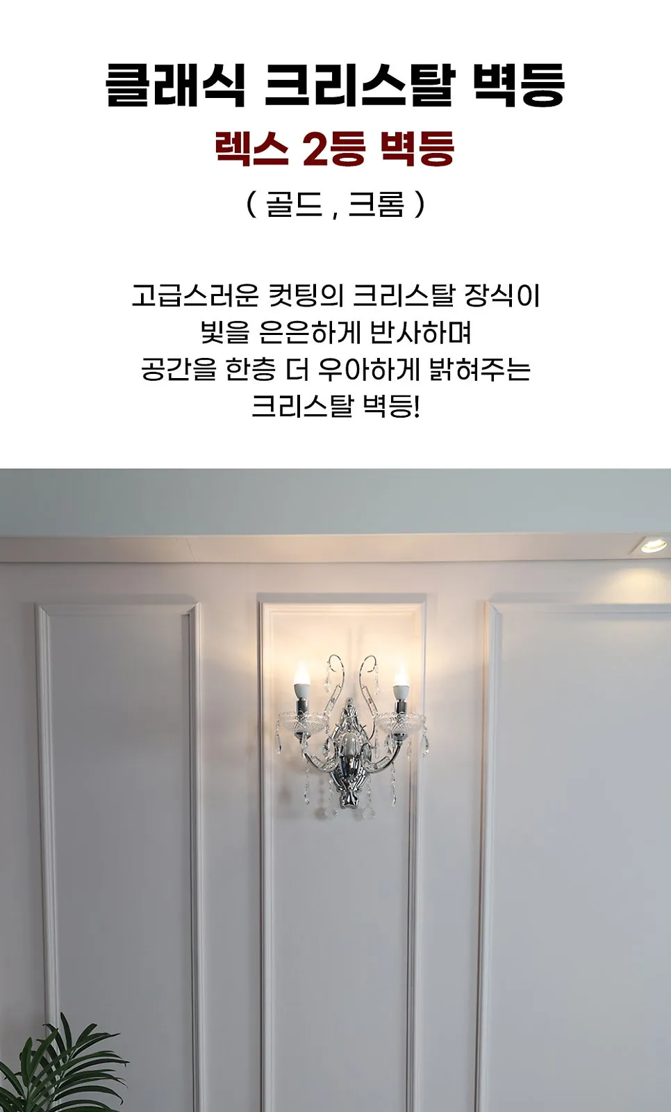 렉스 2등 B/R (골드) (크롬) 제조사 상세 정보