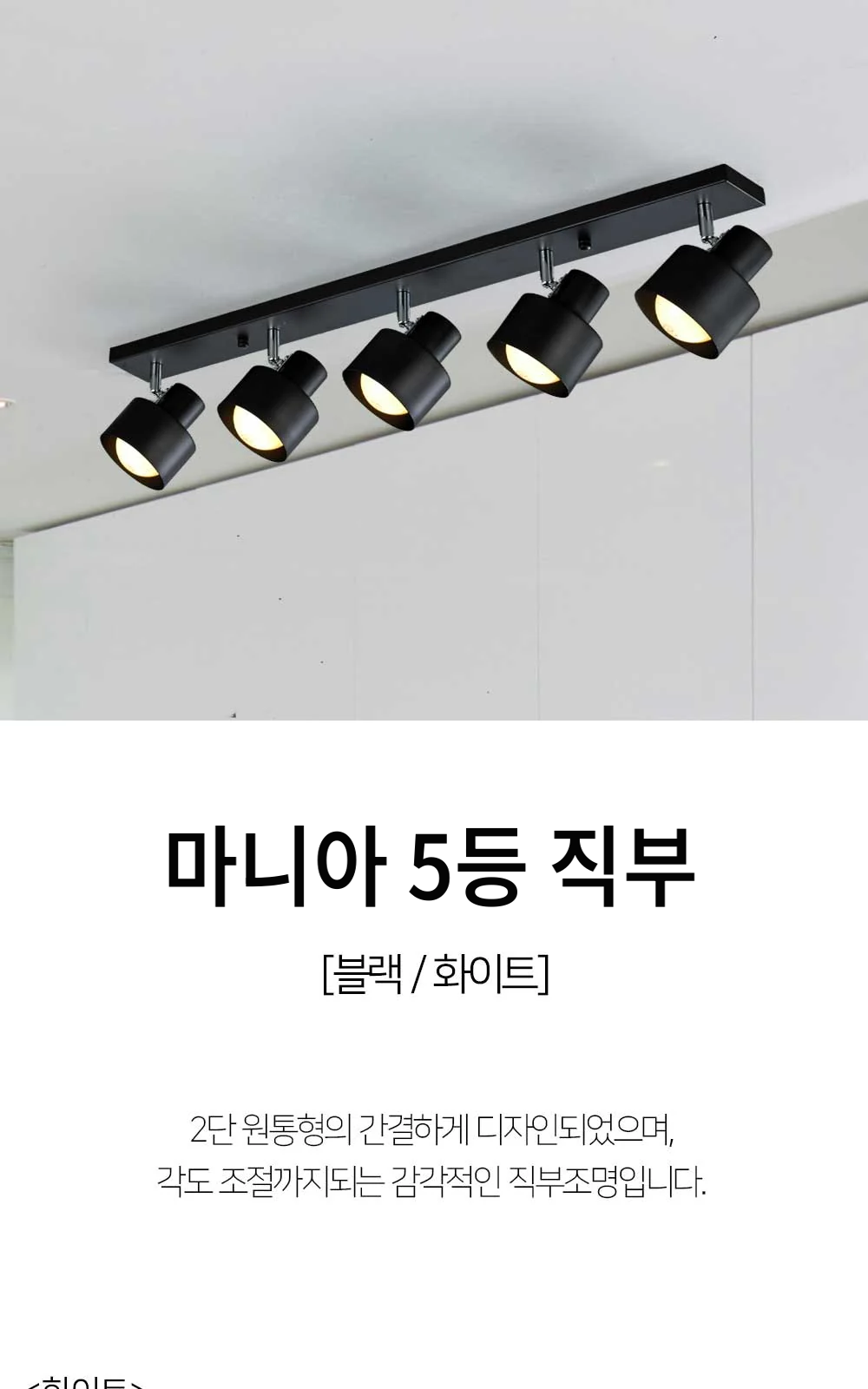 마니아 5등 직부 화이트, 블랙 제조사 상세 정보