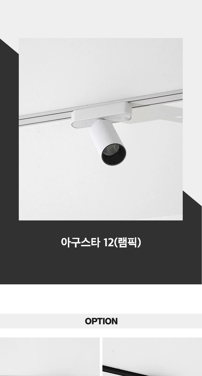 아구스타 12(램픽) 제조사 상세 정보