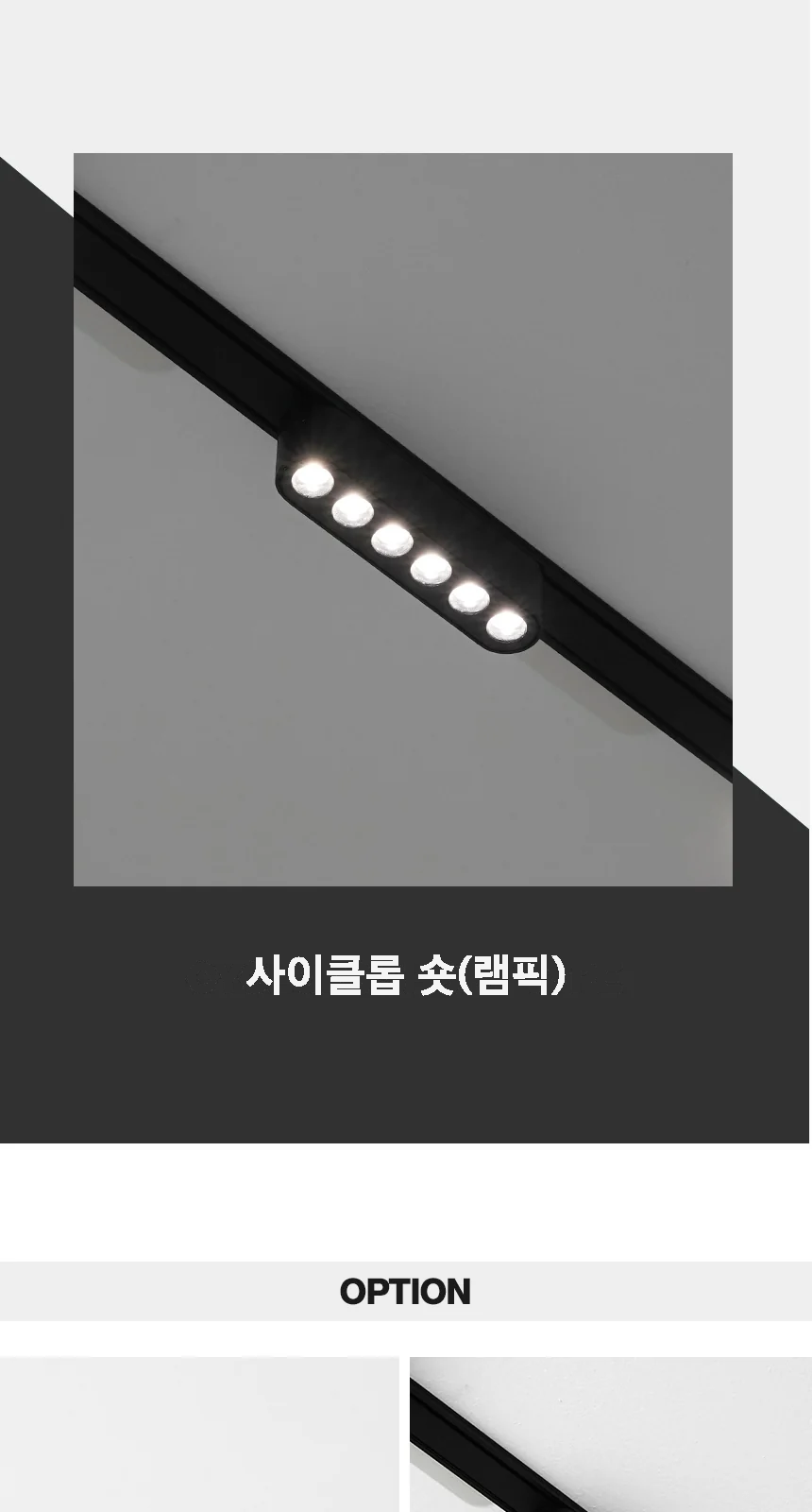 사이클롭 숏(램픽) 제조사 상세 정보