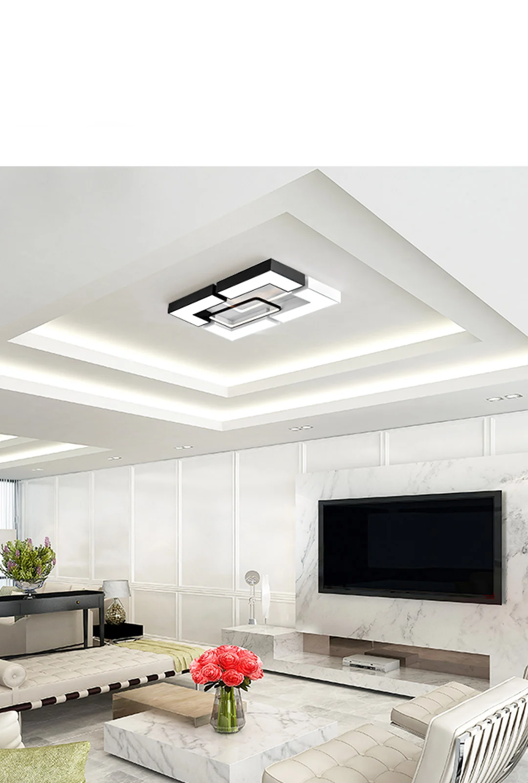 LED 테크노 거실등 250W 제조사 상세 정보