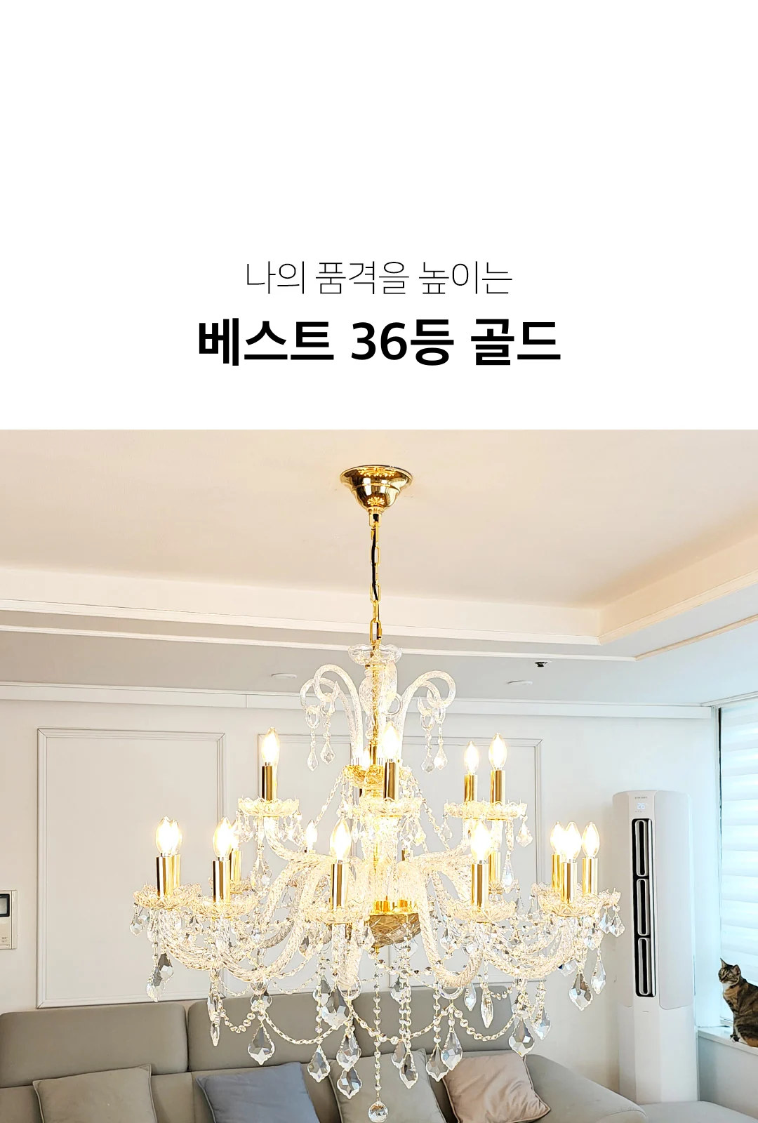 베스트 36등 골드 제조사 상세 정보