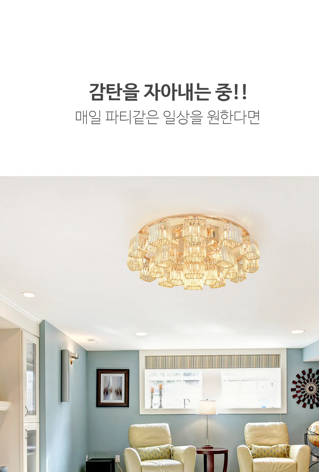 아이리스 24등 PD, 직부 제조사 상세 정보
