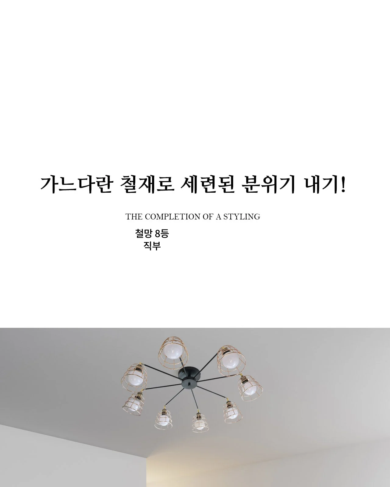 철망 8등 직부 제조사 상세 정보