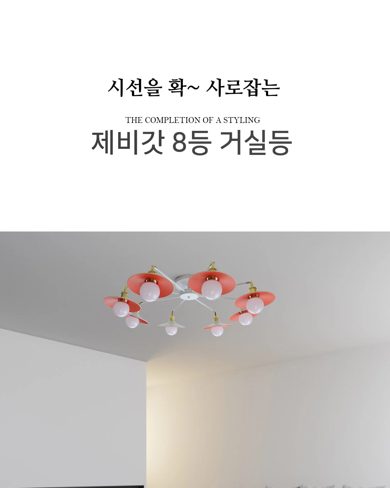 제비갓 8등 직부 제조사 상세 정보