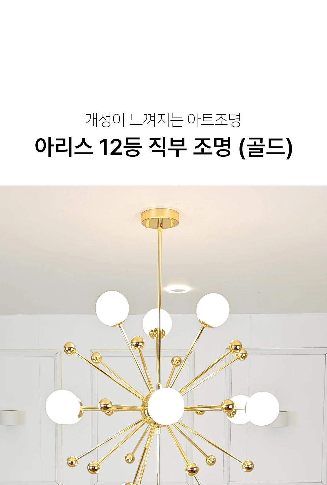 아리스 12등 직부 조명 (골드) 제조사 상세 정보