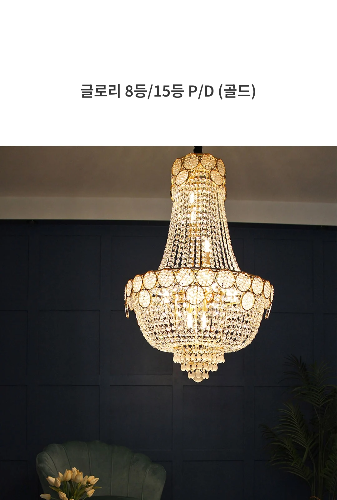 글로리 8등/15등 P/D (골드) 제조사 상세 정보