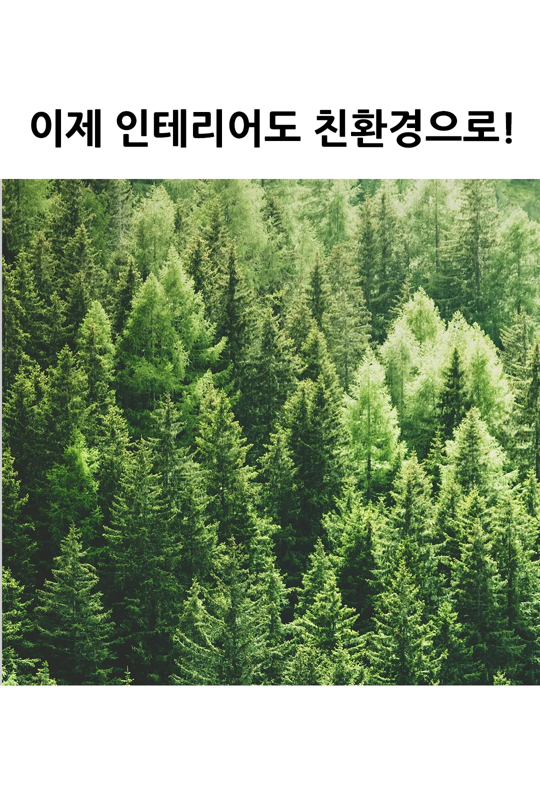 액자 5등 펜던트등 제조사 상세 정보
