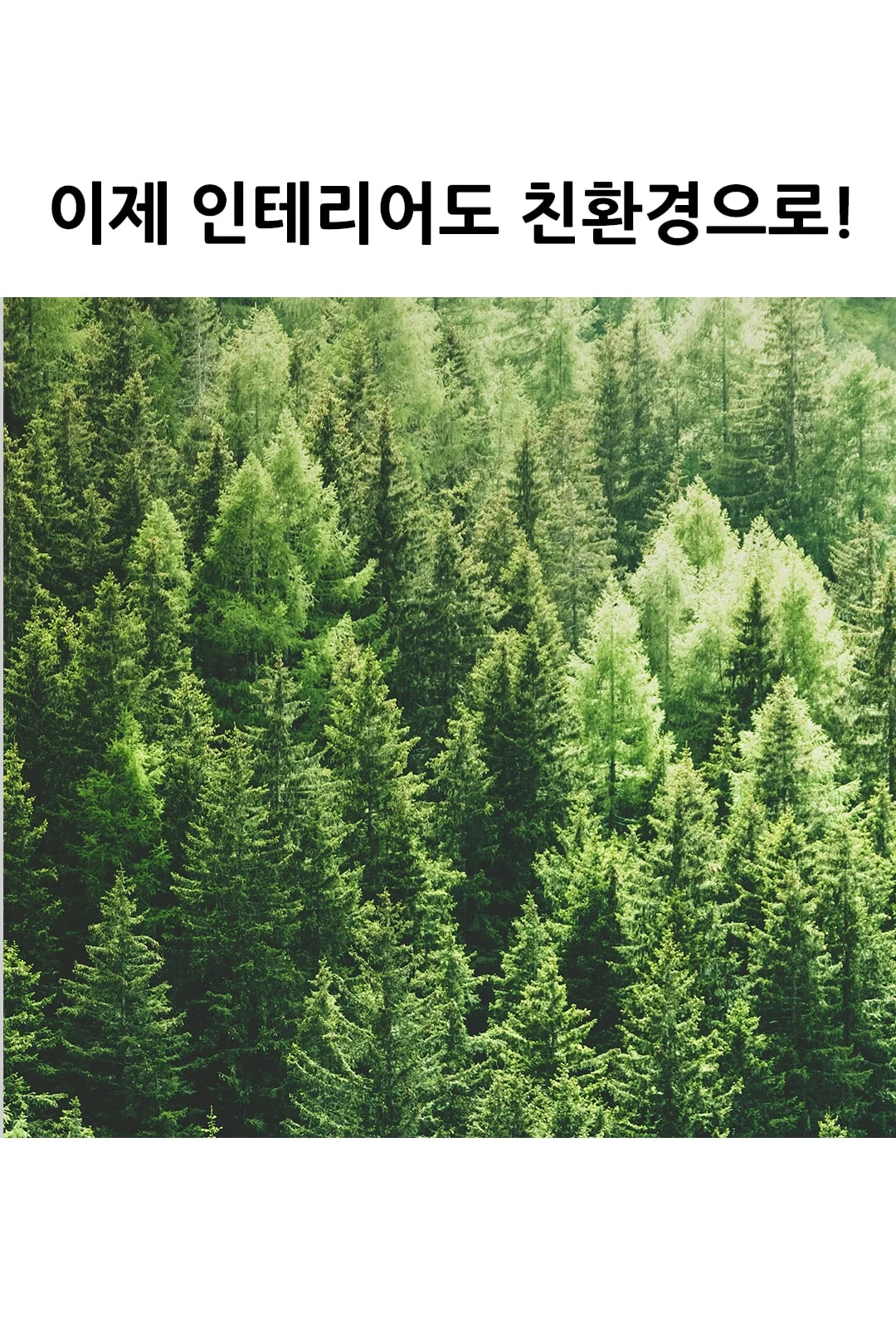 액자 5등 직부등 제조사 상세 정보